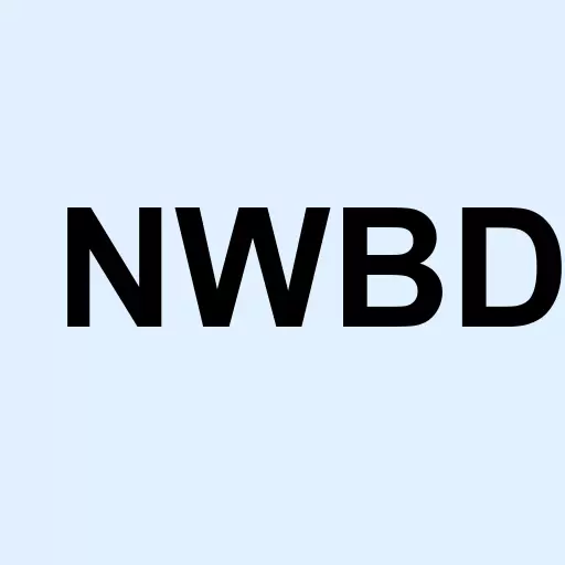 New World Brands Inc Logo