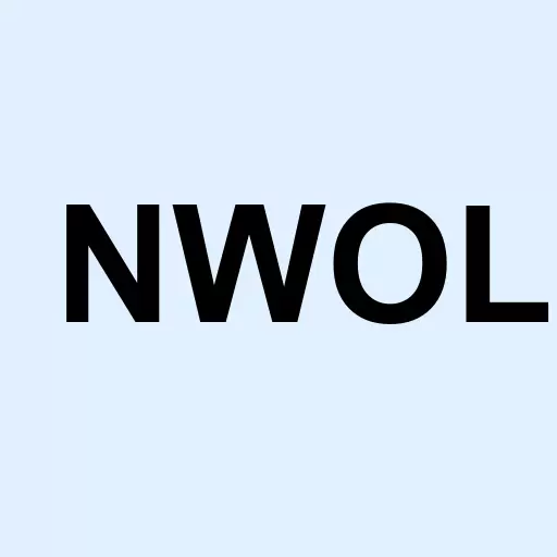 North West Oil Group Inc Logo