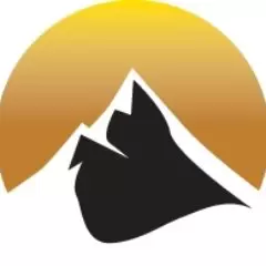 Nexus Gold Logo