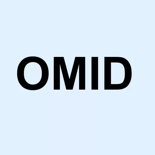 OMID HLDGS INC Logo