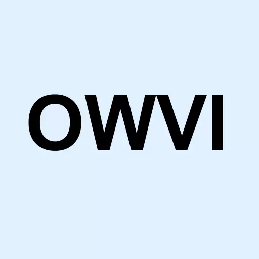 One World Ventures Inc Logo