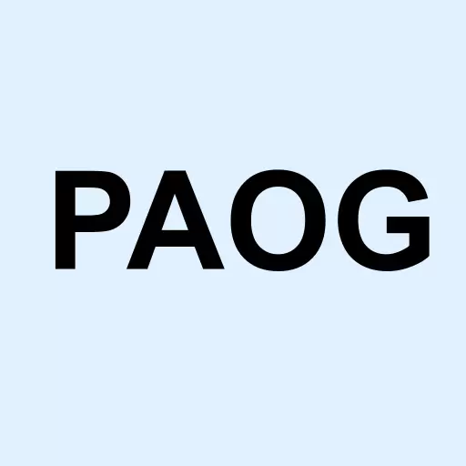 PAO Group Inc Logo