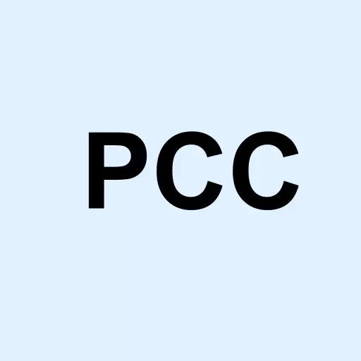 PMC Commercial Trust Logo