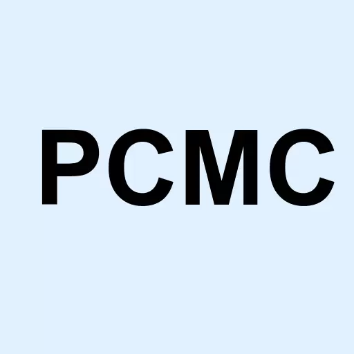 Public Company Mgmt Corp Logo