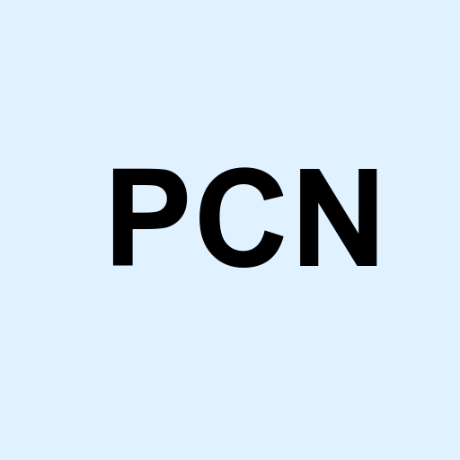 Stock pcn logo