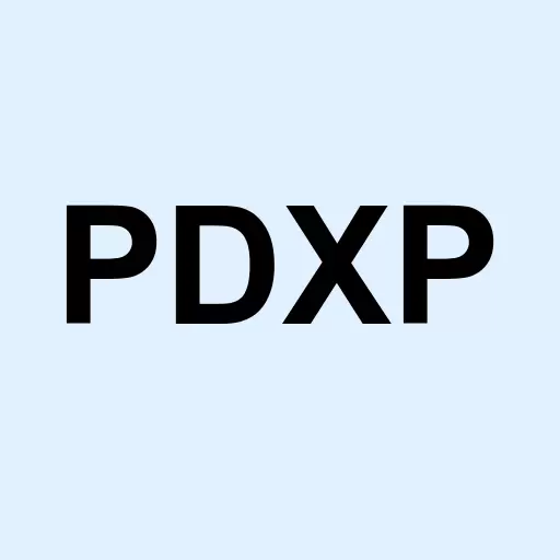 PDX Partners Inc Logo
