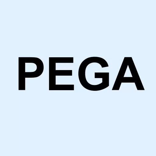 Pegasystems Inc. Logo