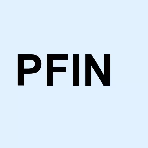 P & F Industries Inc. Logo