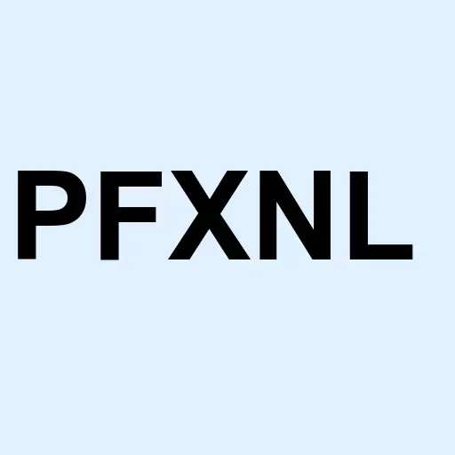 PhenixFIN Corporation Notes Due 2023 Logo
