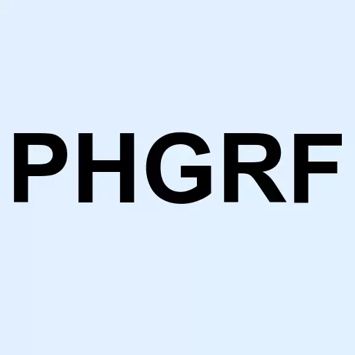 Premier Health Group Inc Logo