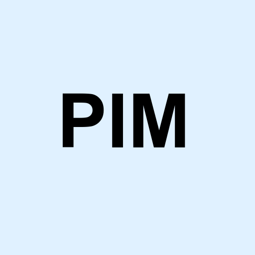 Stock pim logo