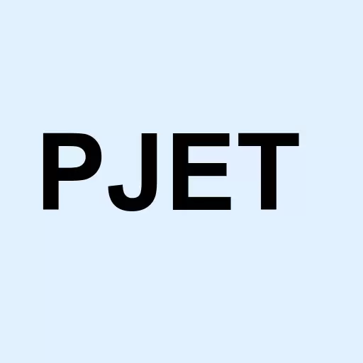 Priority Aviation Inc Logo