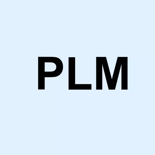 Polymet Mining Corporation Logo