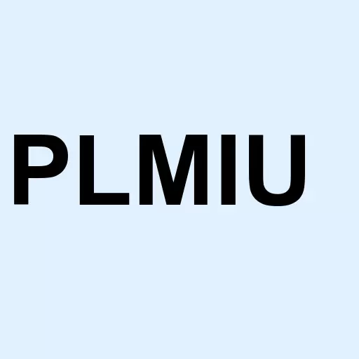 Plum Acquisition Corp. I Units Logo