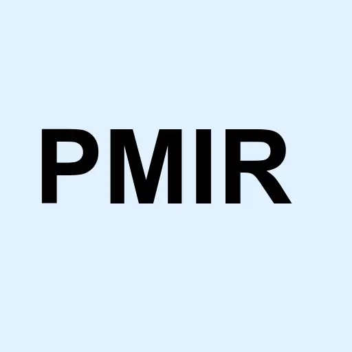 Pmi Group Inc New Logo