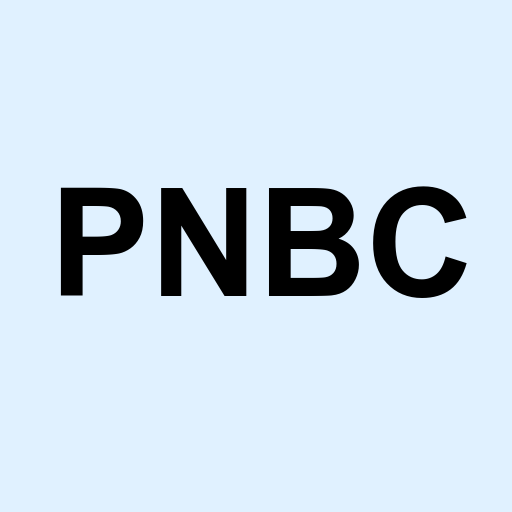 Stock pnbc logo