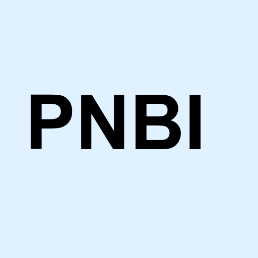 Stock pnbi logo