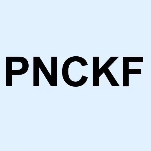 Pure Nickel Inc Logo
