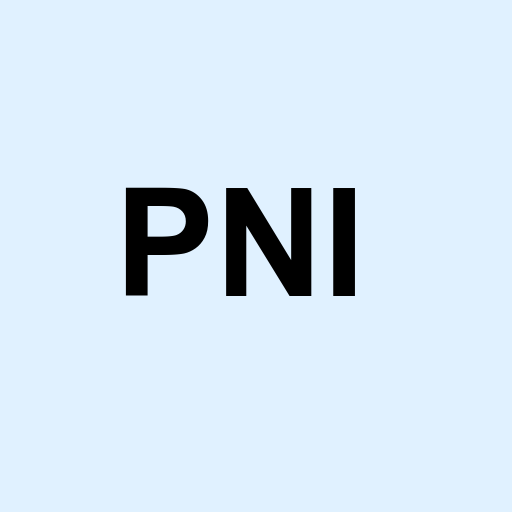 Stock pni logo