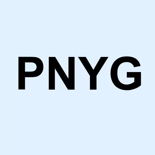 Pony Group Logo