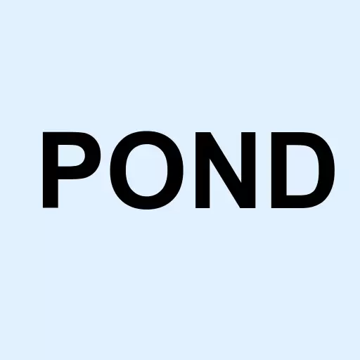 Angel Pond Holdings Corporation Class A Logo