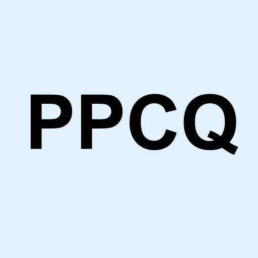 Premier Pacific Construction Inc Logo