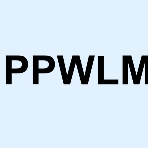 Pacificorp 7.00% serial pfd Logo