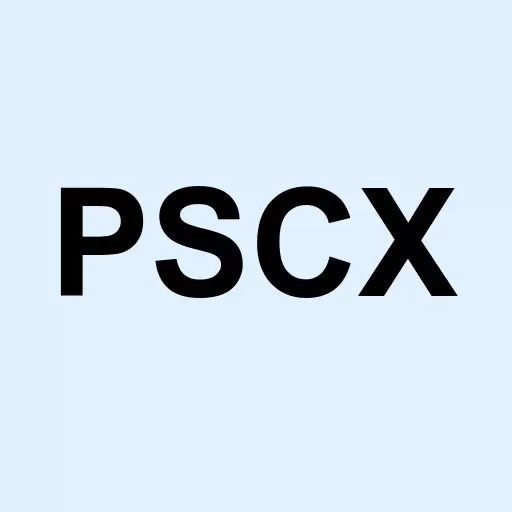Pacer Swan SOS Conservative (December) Logo