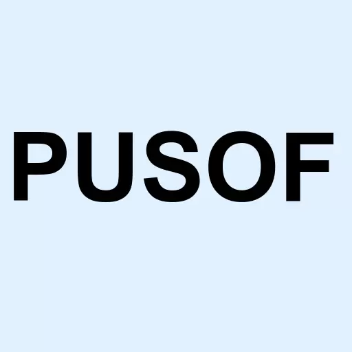 Pushfor Investments Inc Logo
