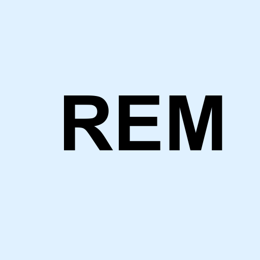 Stock rem logo