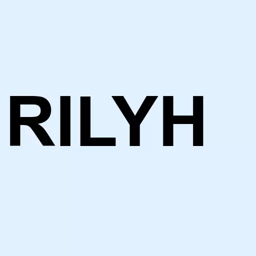 B. Riley Financial Inc. 7.375% Senior Notes Due 2023 Logo