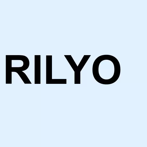 B. Riley Financial Inc. 6.75% Senior Notes due 2024 Logo