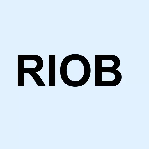 Rio Bravo Oil Inc Logo