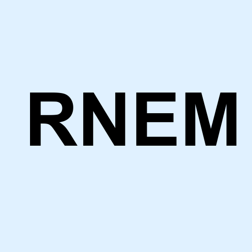 Stock RNEM logo