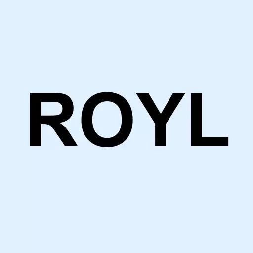 Royale Energy Funds Inc Logo