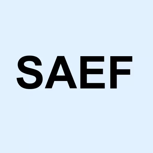 Schwab Ariel ESG ETF Logo