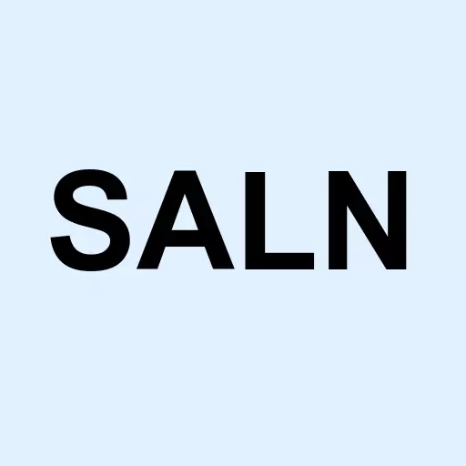 Salon City Inc New Logo