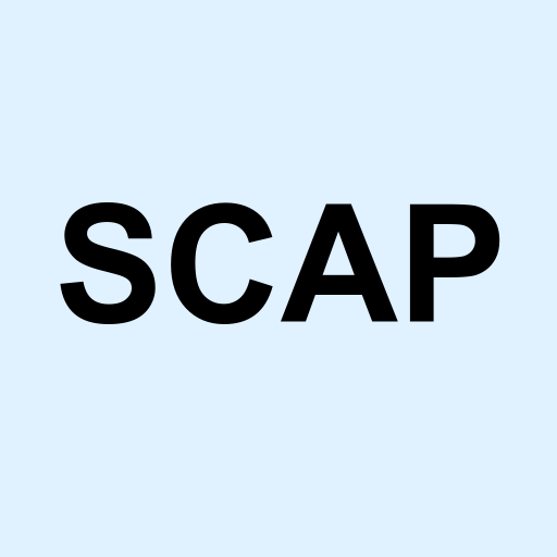 Stock scap logo