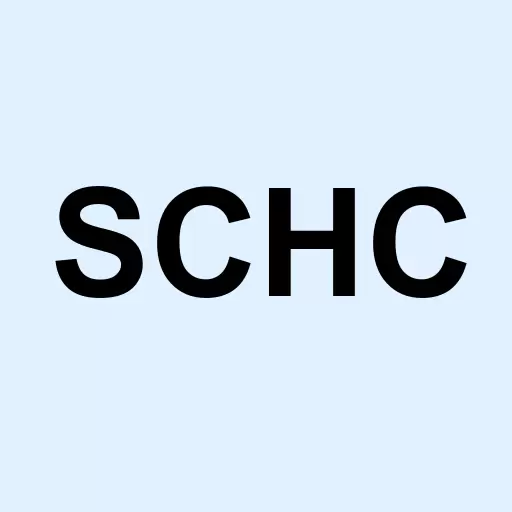 Schwab International Small-Cap Equity Logo