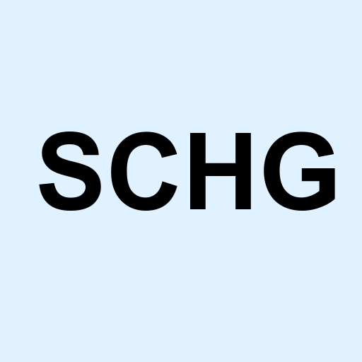 Stock schg logo