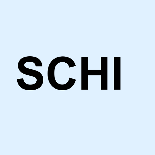 Stock schi logo