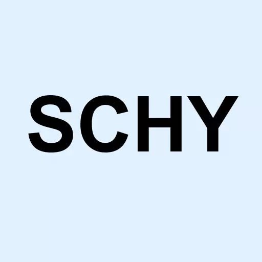 Schwab International Dividend Equity ETF Logo