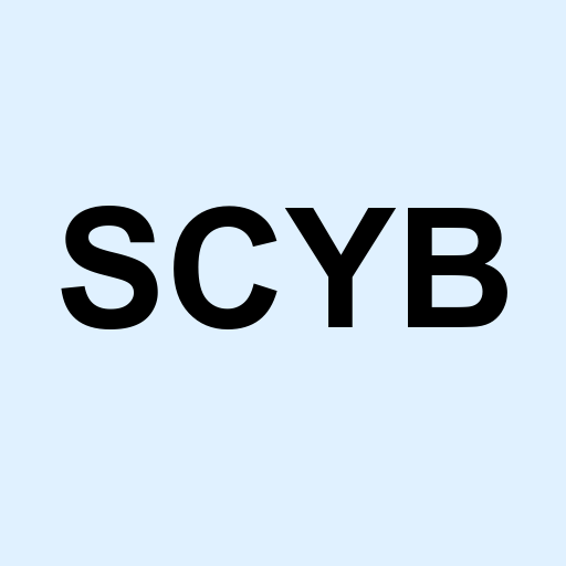 Stock scyb logo