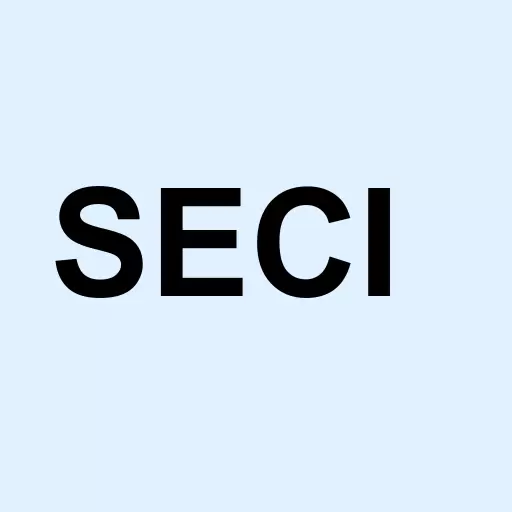 Sector 10 Inc Logo