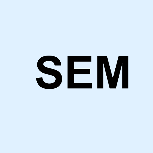 Stock SEM logo