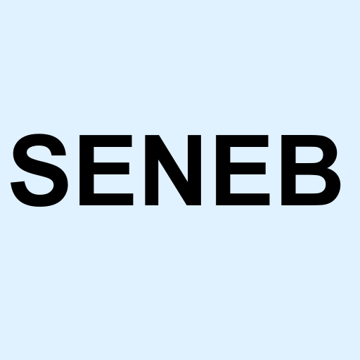 Stock seneb logo