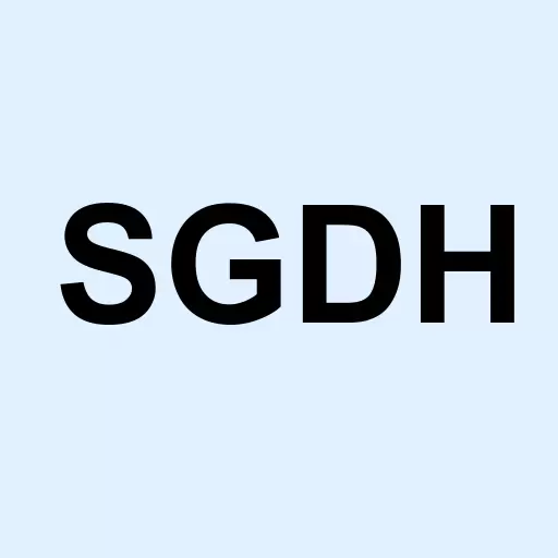 SGD HOLDINGS, LTD. Logo