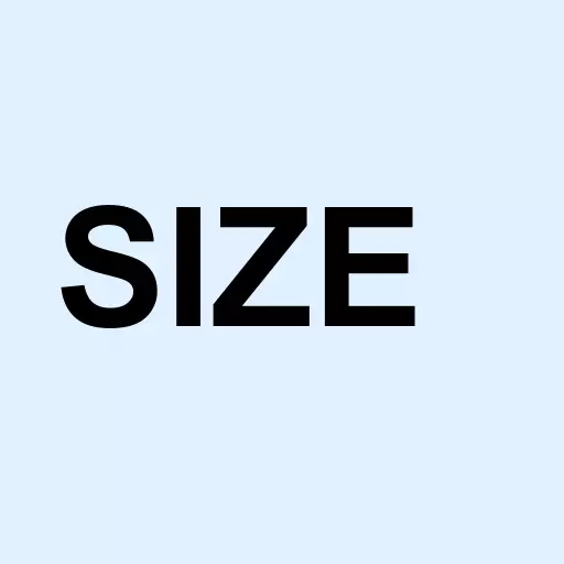iShares Edge MSCI USA Size Factor Logo