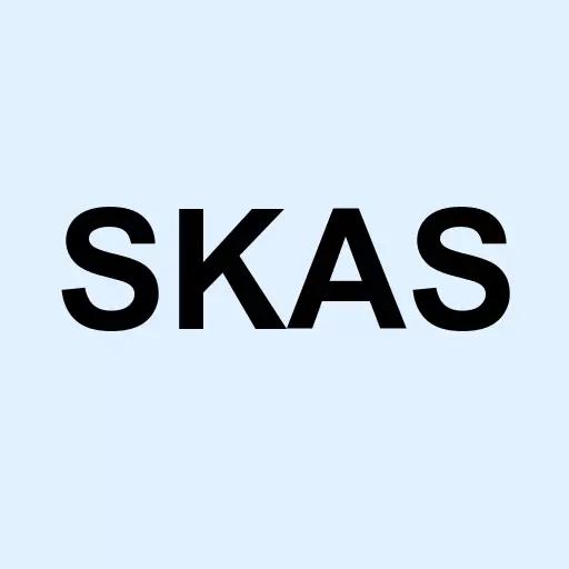 Saker Aviation Svcs Inc Logo