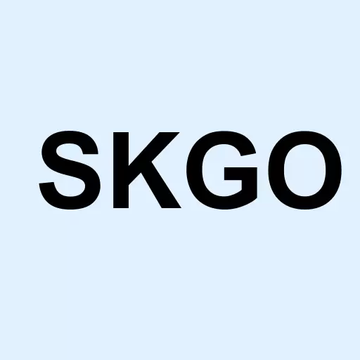 Skybridge Tech Group Inc Logo